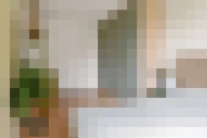Fivelingo 93 Utrecht thumbnail 21