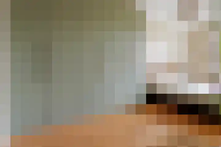 Fivelingo 93 Utrecht thumbnail 22