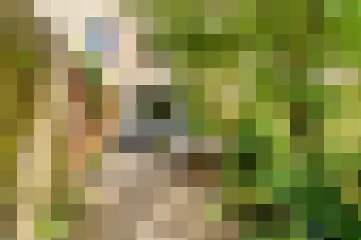 Fivelingo 93 Utrecht thumbnail 30