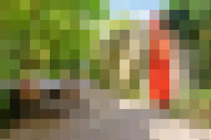 Fivelingo 93 Utrecht thumbnail 31