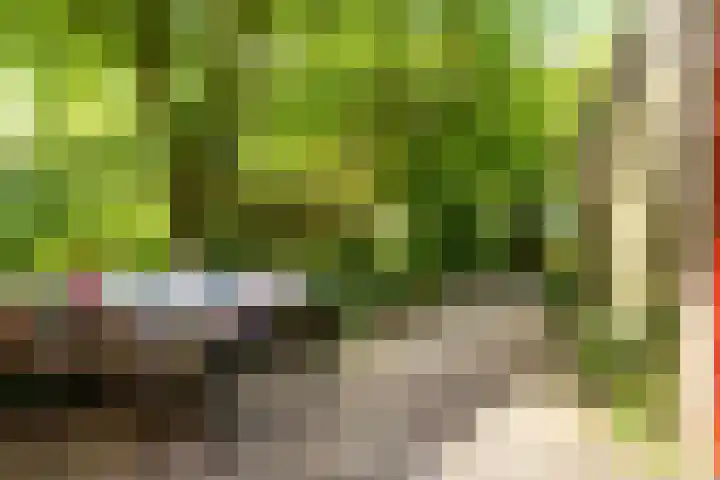 Fivelingo 93 Utrecht thumbnail 32