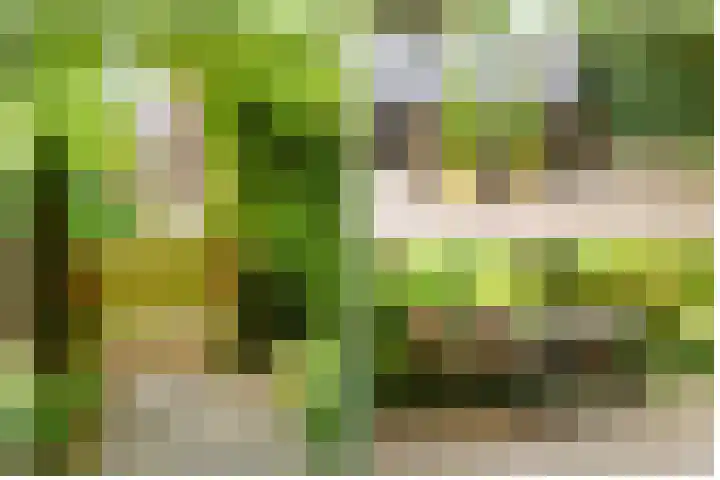 Fivelingo 93 Utrecht thumbnail 33