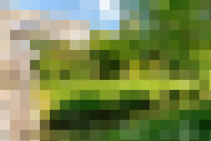 Fivelingo 93 Utrecht thumbnail 36