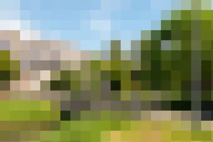 Fivelingo 93 Utrecht thumbnail 37