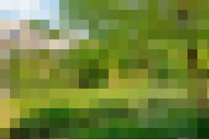 Fivelingo 93 Utrecht thumbnail 38