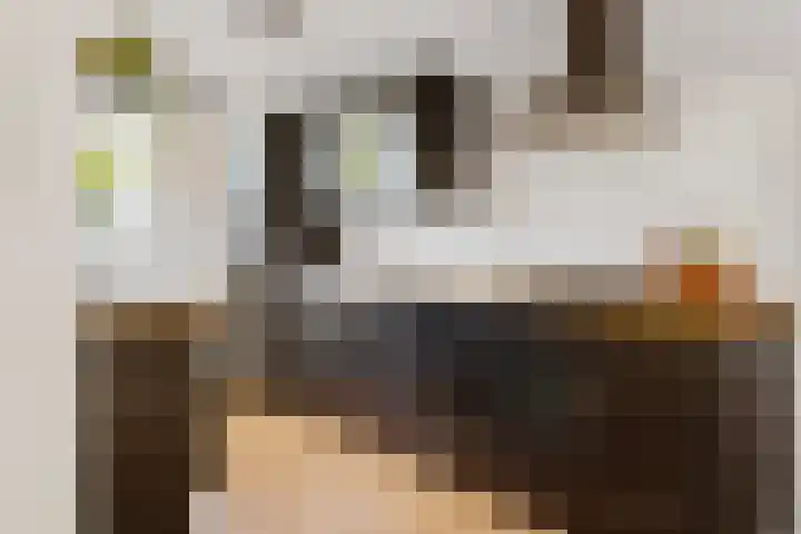 Fivelingo 93 Utrecht thumbnail 4