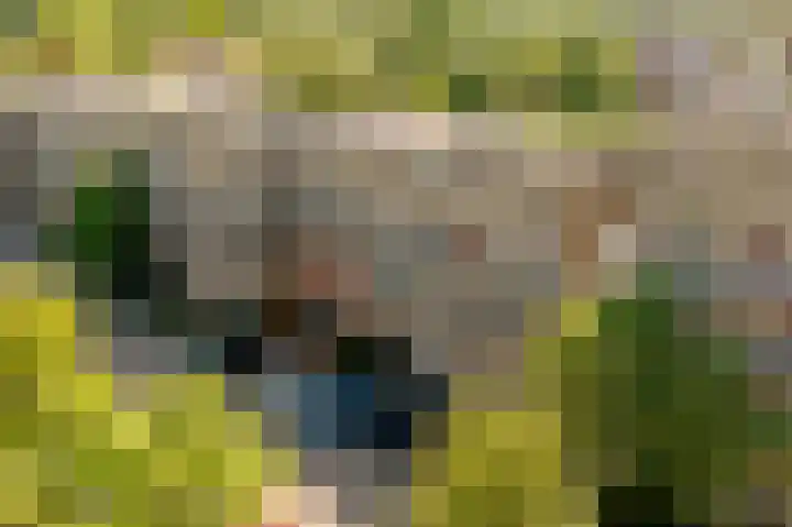 Fivelingo 93 Utrecht thumbnail 49