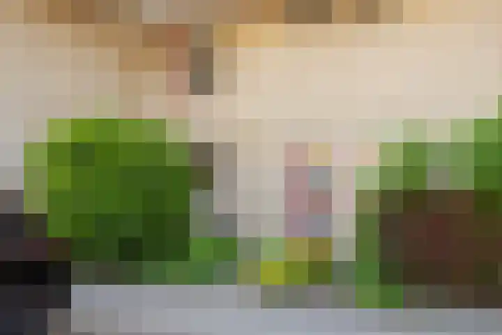 Fivelingo 93 Utrecht thumbnail 6