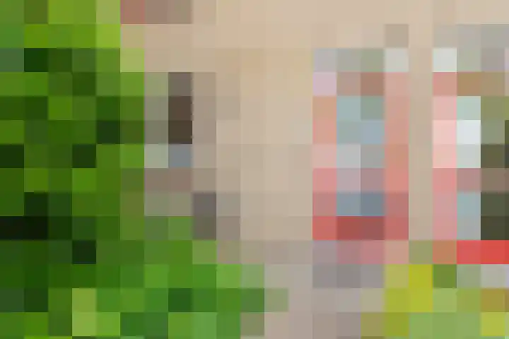 Fivelingo 93 Utrecht thumbnail 7