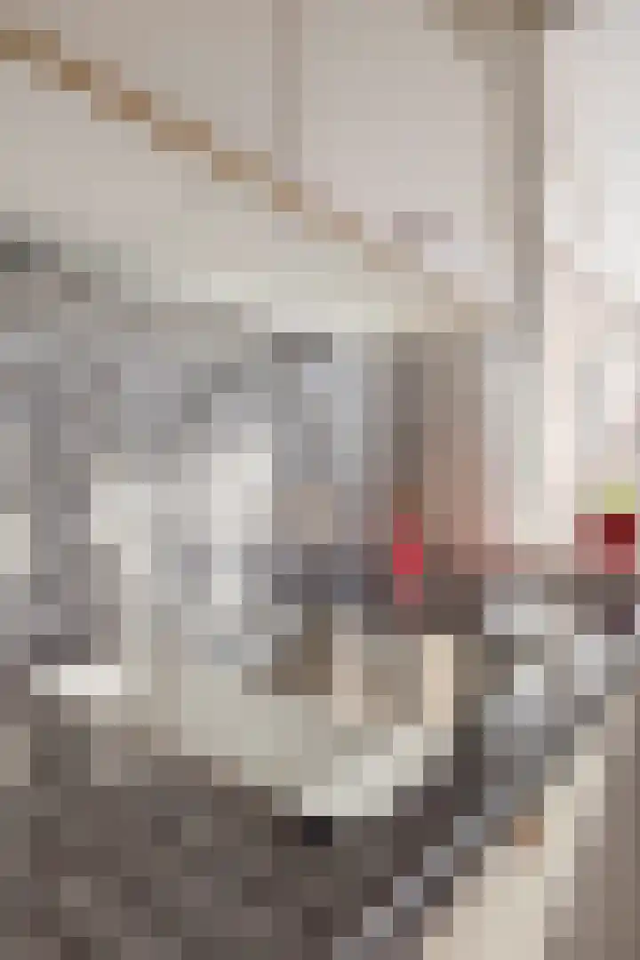 Fivelingolaan 14 Stadskanaal thumbnail 24