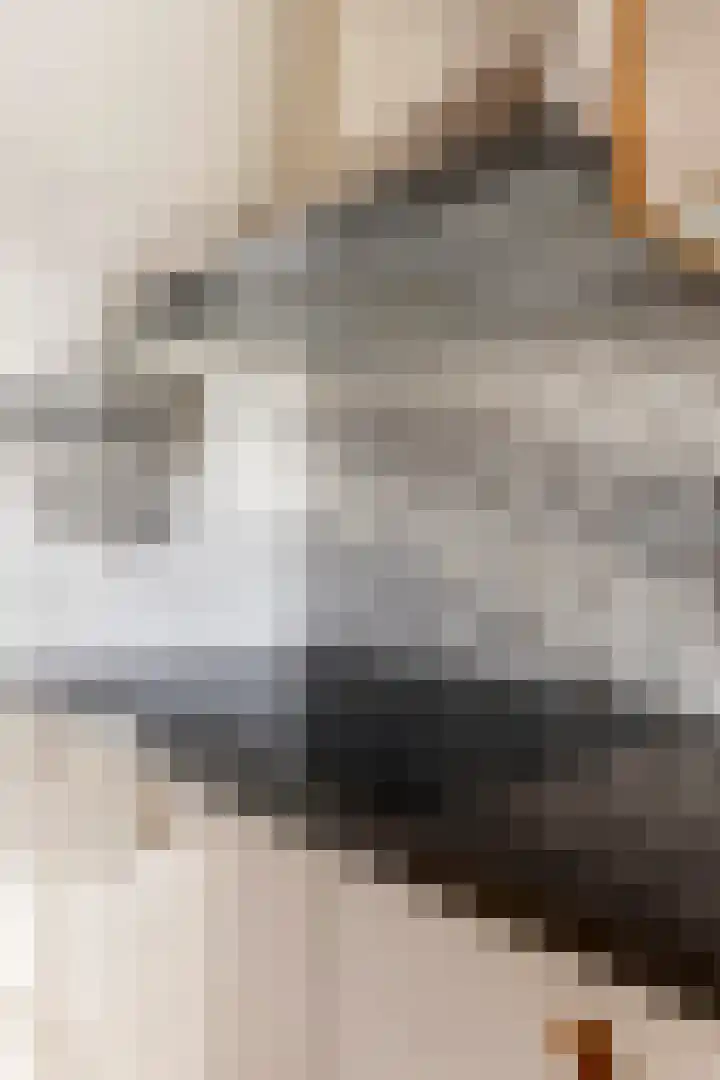 Fivelingolaan 14 Stadskanaal thumbnail 25