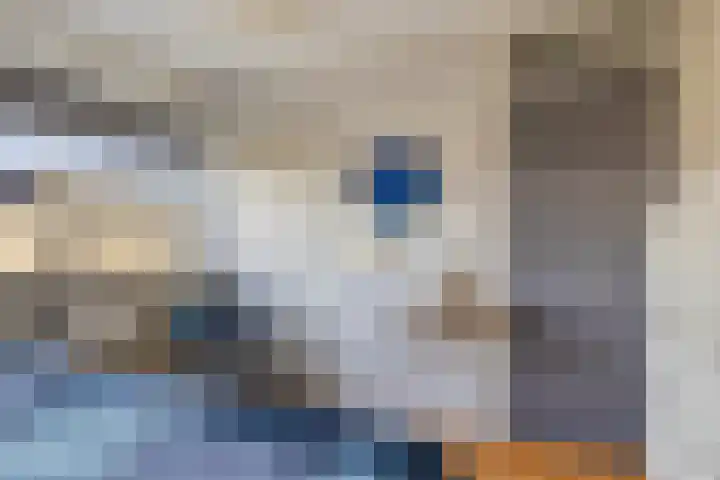 Fivelingolaan 14 Stadskanaal thumbnail 33
