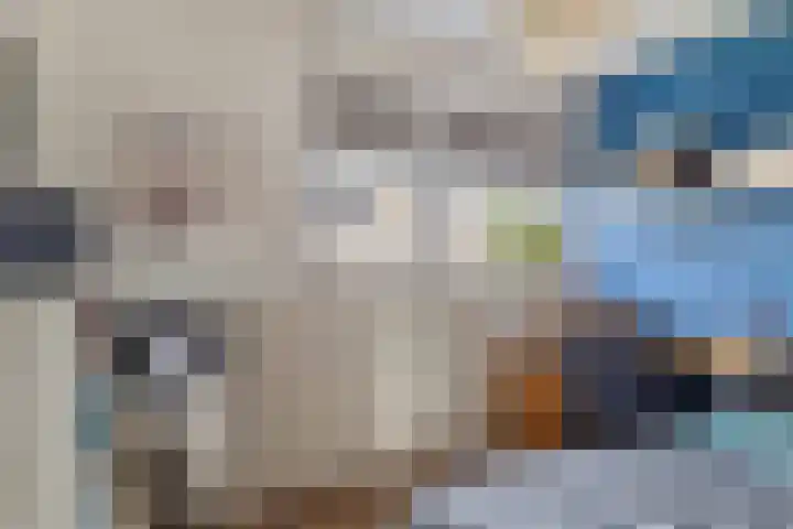 Fivelingolaan 14 Stadskanaal thumbnail 34