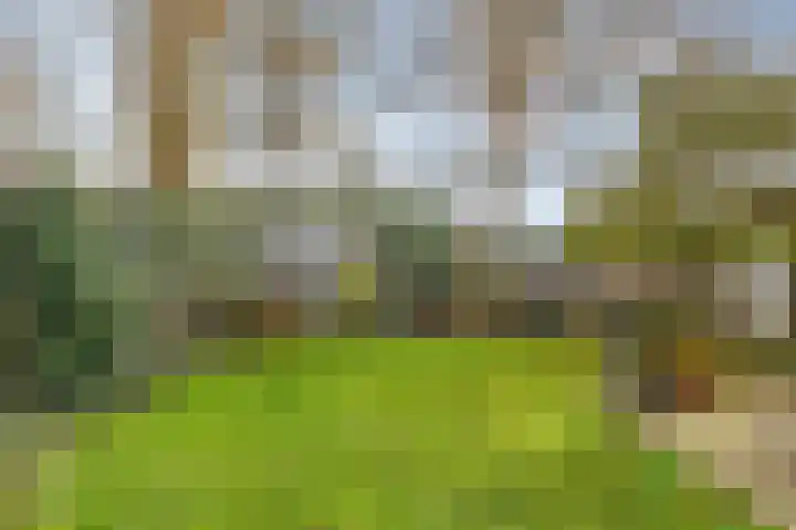 Fivelingolaan 14 Stadskanaal thumbnail 36
