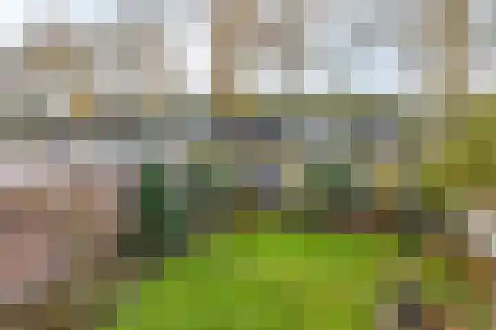 Fivelingolaan 14 Stadskanaal thumbnail 39