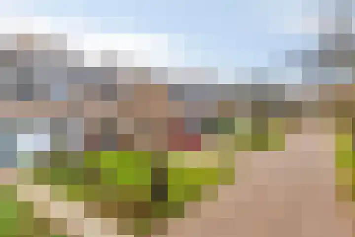 Fivelingolaan 14 Stadskanaal thumbnail 4