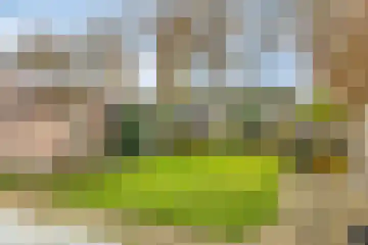 Fivelingolaan 14 Stadskanaal thumbnail 5