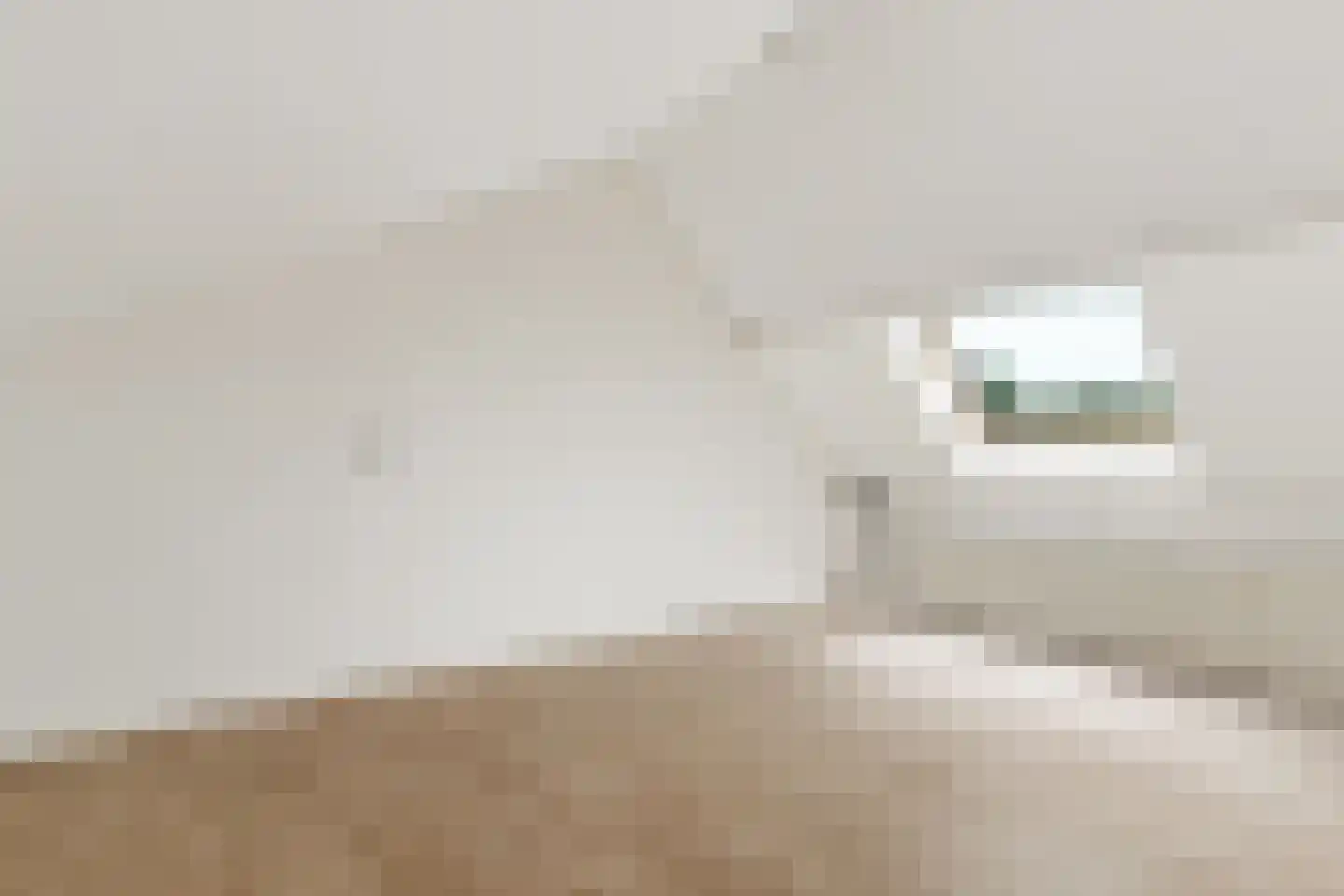 Fivelingostraat 104 Assen thumbnail 18