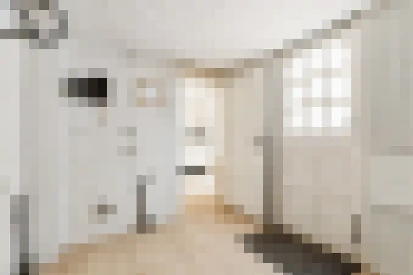 Fivelingostraat 104 Assen thumbnail 9
