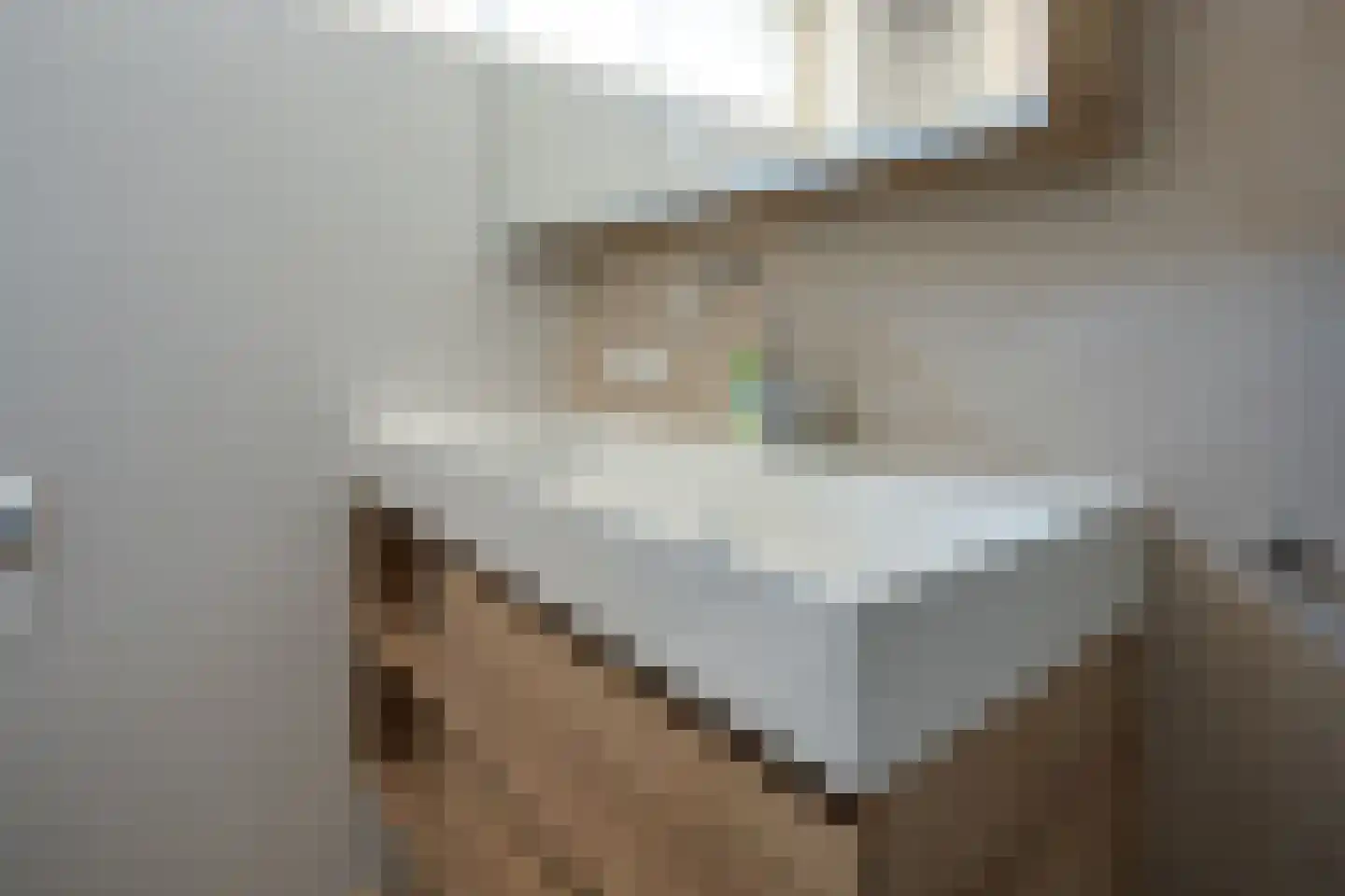 Fivelingostraat 106 Assen thumbnail 19