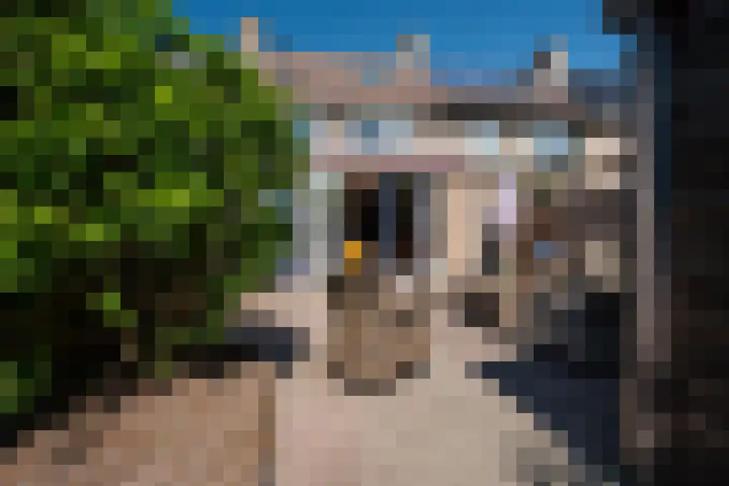 Fivelingostraat 106 Assen thumbnail 25