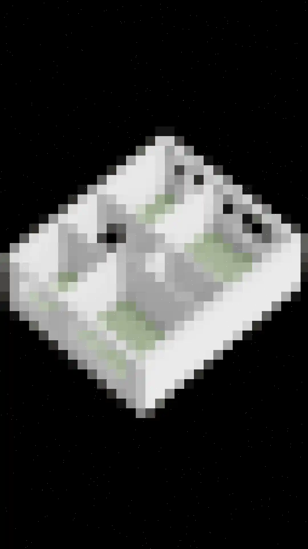 Fivelingoweg 25 Uithuizen thumbnail 35