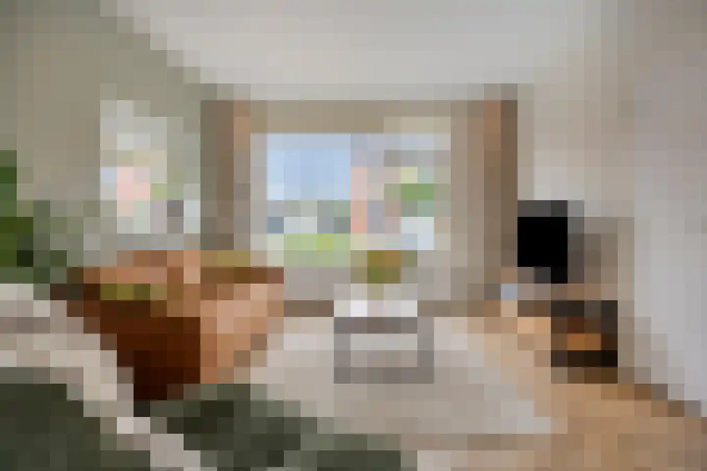 Fivelingoweg 25 Uithuizen thumbnail 4
