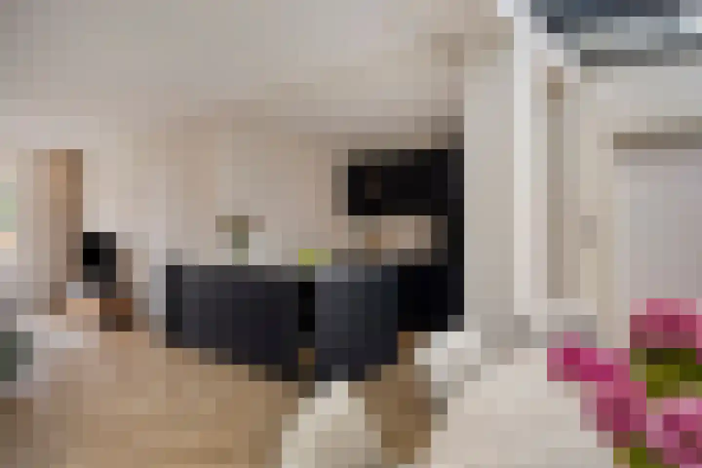 Fivelingoweg 25 Uithuizen thumbnail 9