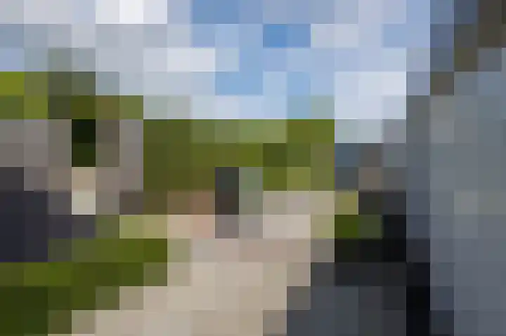 Fivelkade W 11 Appingedam thumbnail 24