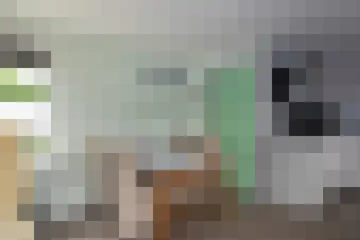 Fivelkade W 11 Appingedam thumbnail 6