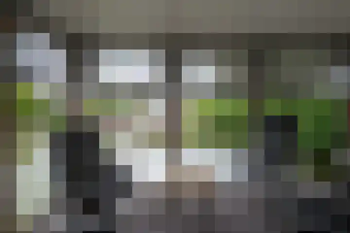 Fivelkade W 11 Appingedam thumbnail 9