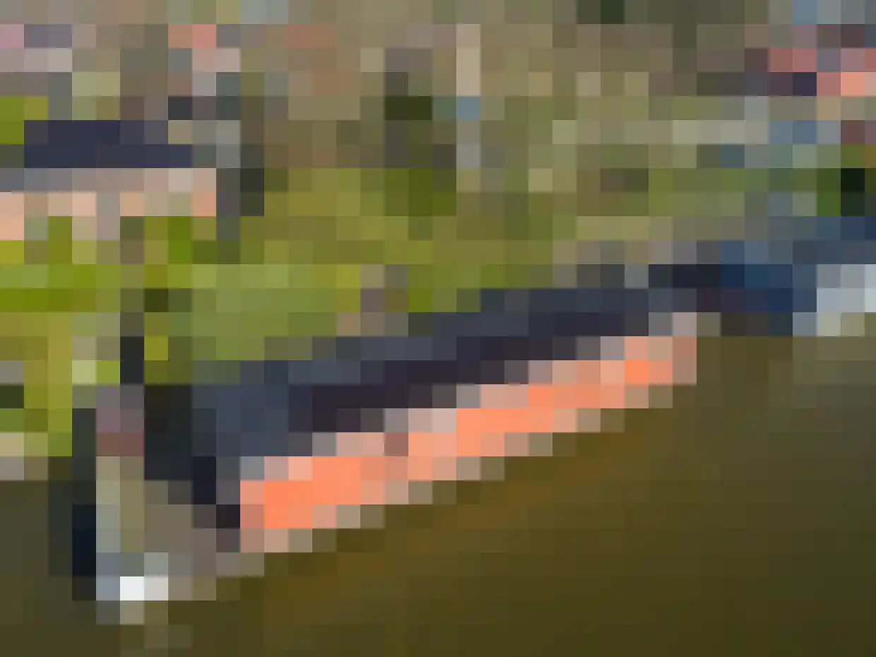 Fivelkade W 6 Appingedam