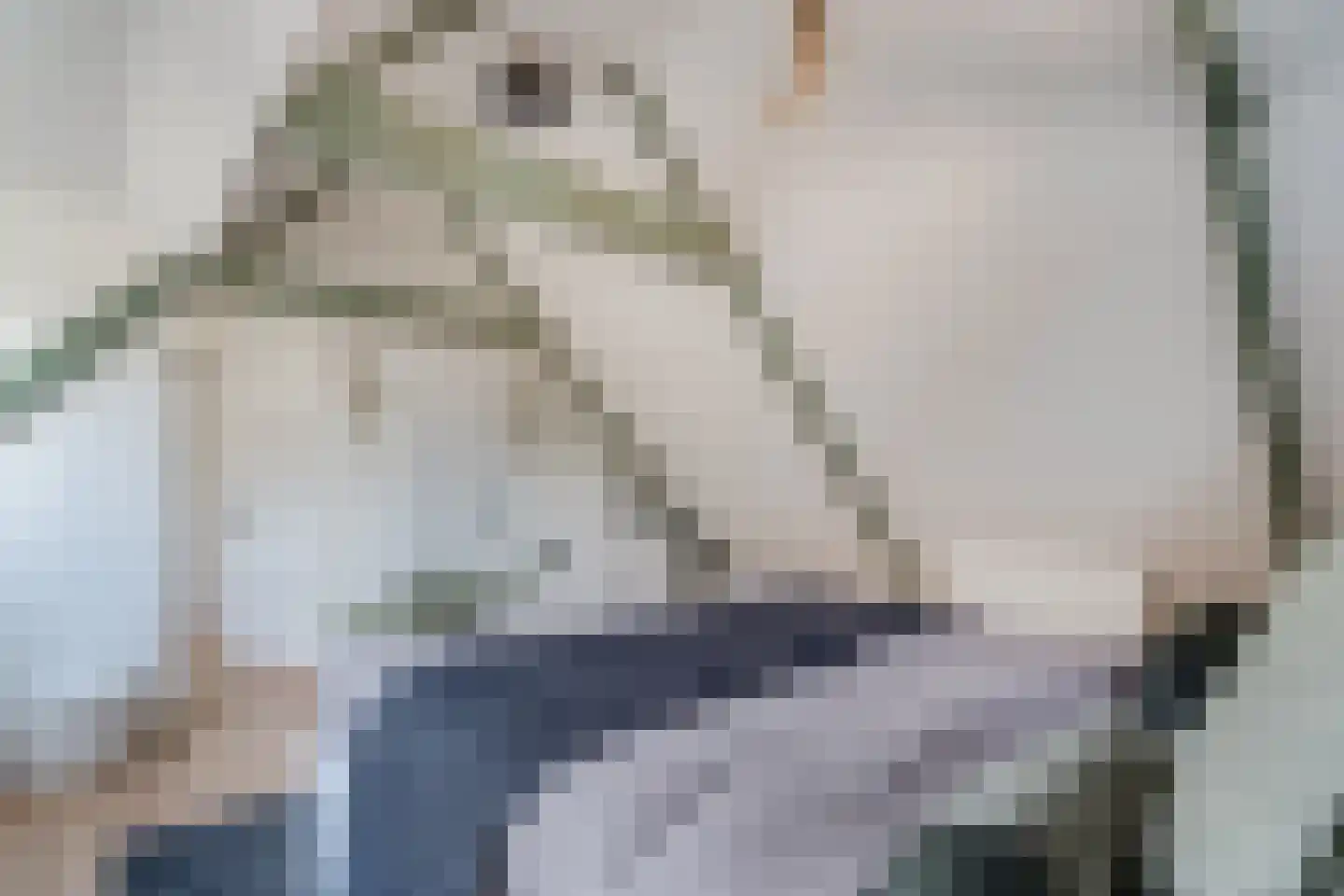 Fivelstraat 13 a Groningen thumbnail 32