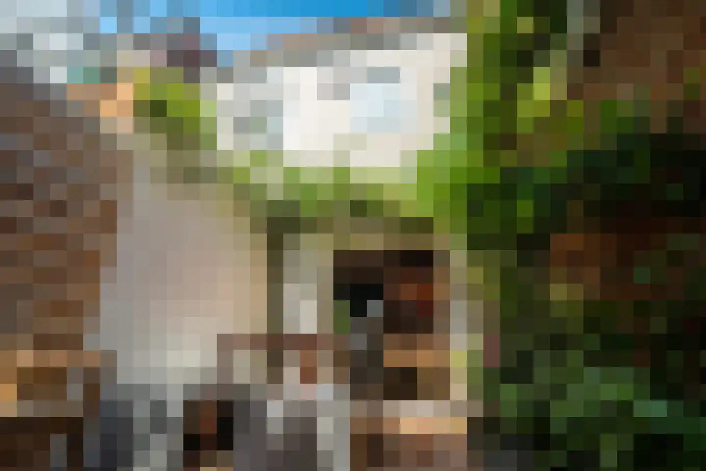 Fivelstraat 3 Groningen thumbnail 57