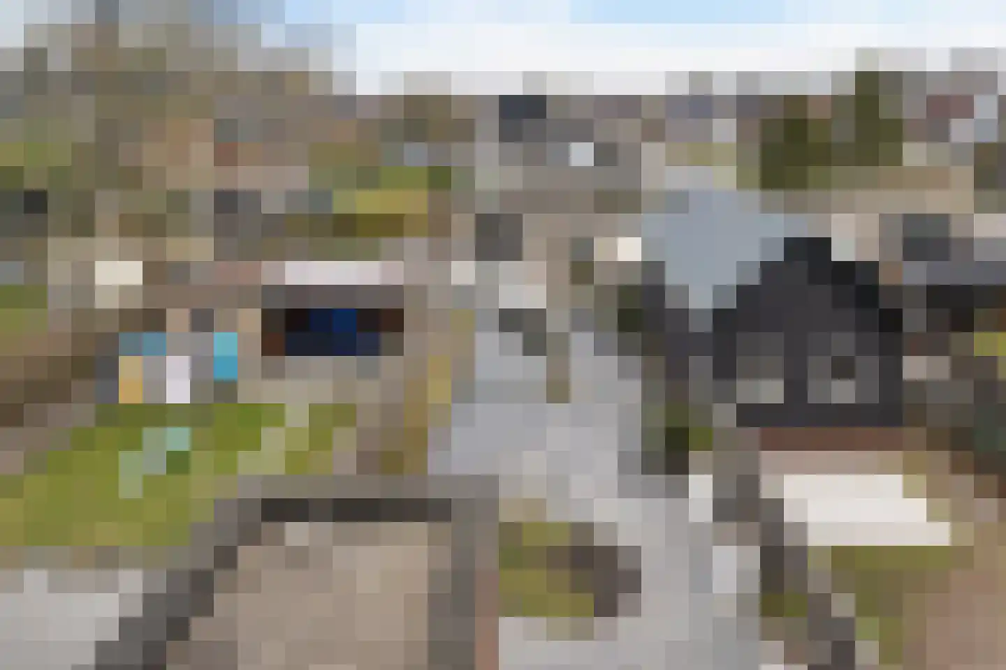 Fivelstraat 3 Loppersum thumbnail 20