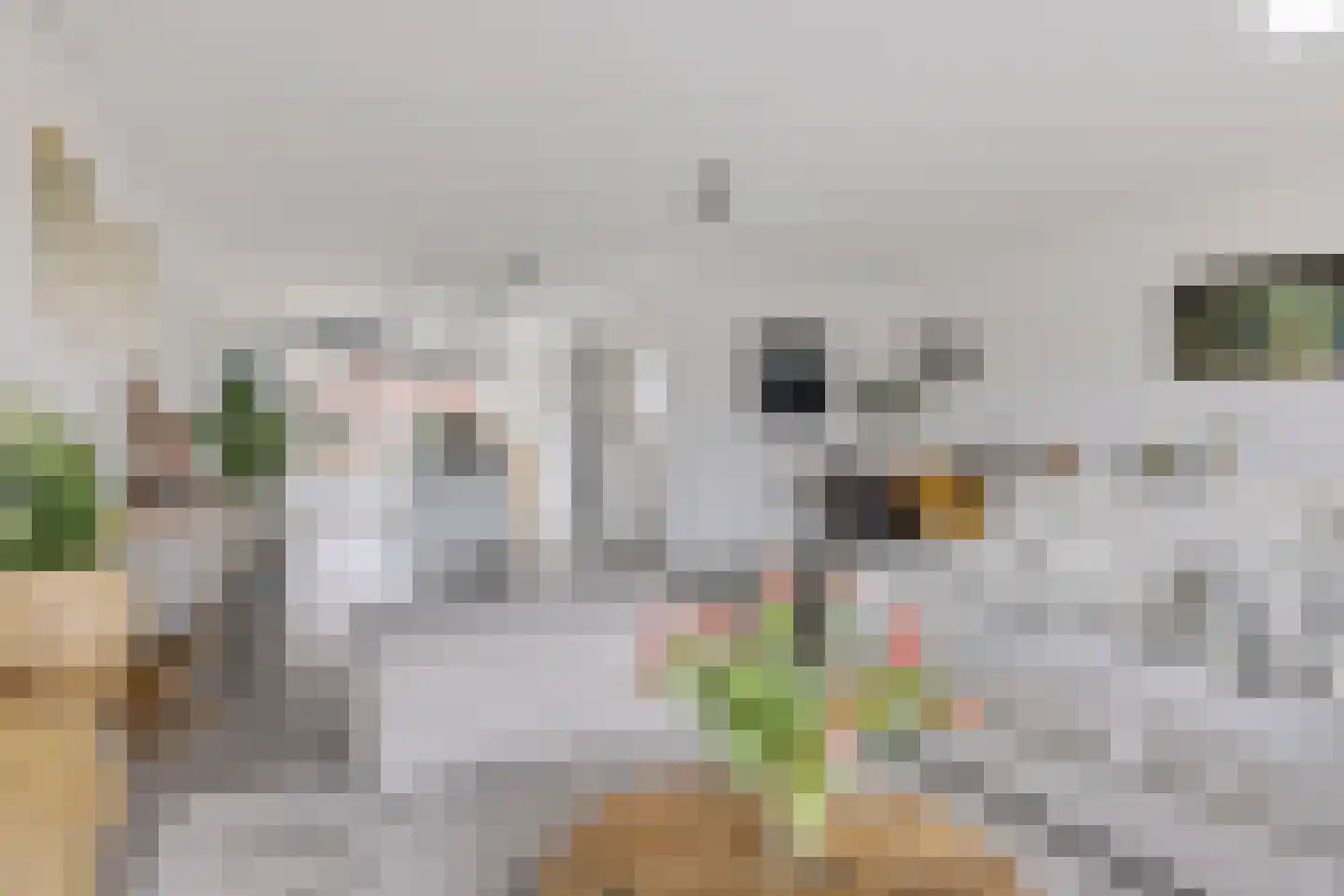 Fivelstraat 3 Loppersum thumbnail 35