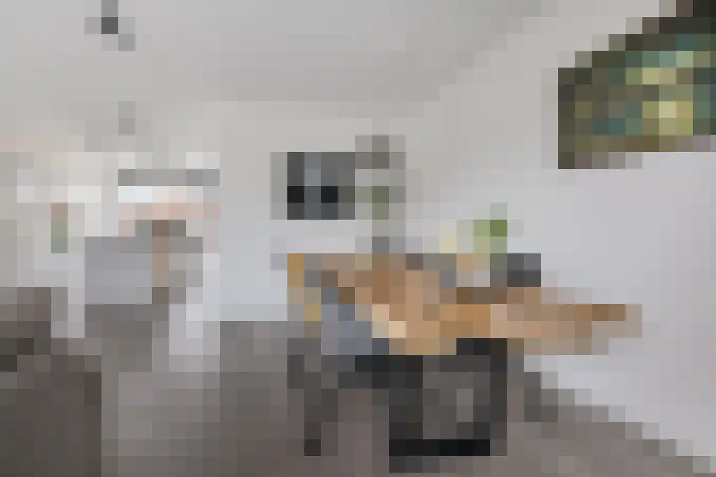 Fivelstraat 3 Loppersum thumbnail 39