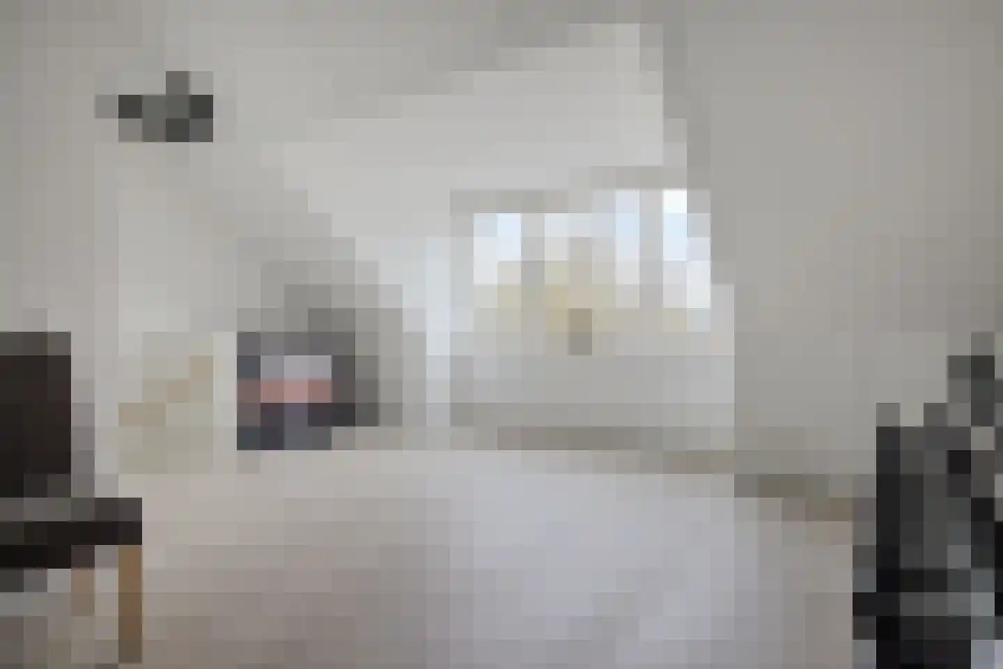 Fivelstraat 3 Loppersum thumbnail 53