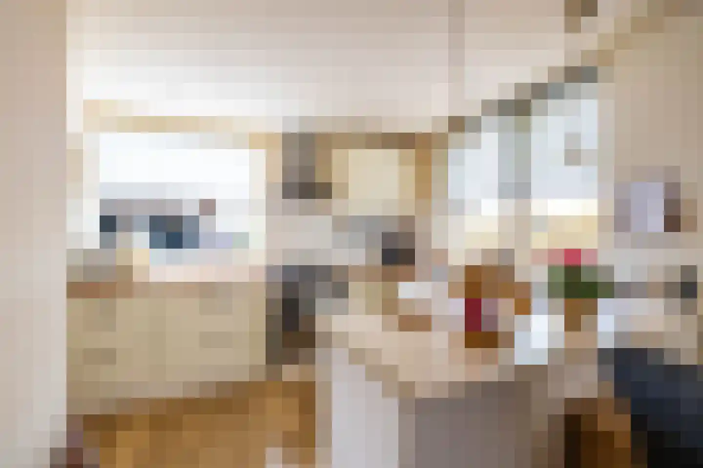 Fivelstraat 4 Ten Boer thumbnail 14