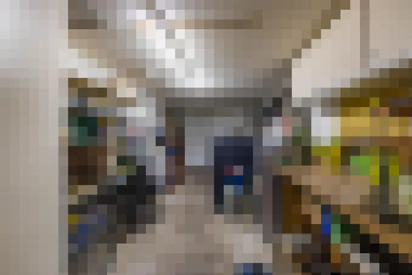 Fivelstraat 4 Ten Boer thumbnail 19