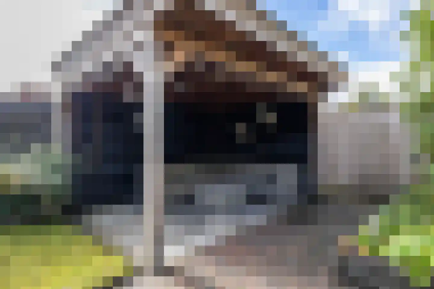 Fivelstraat 4 Ten Boer thumbnail 23