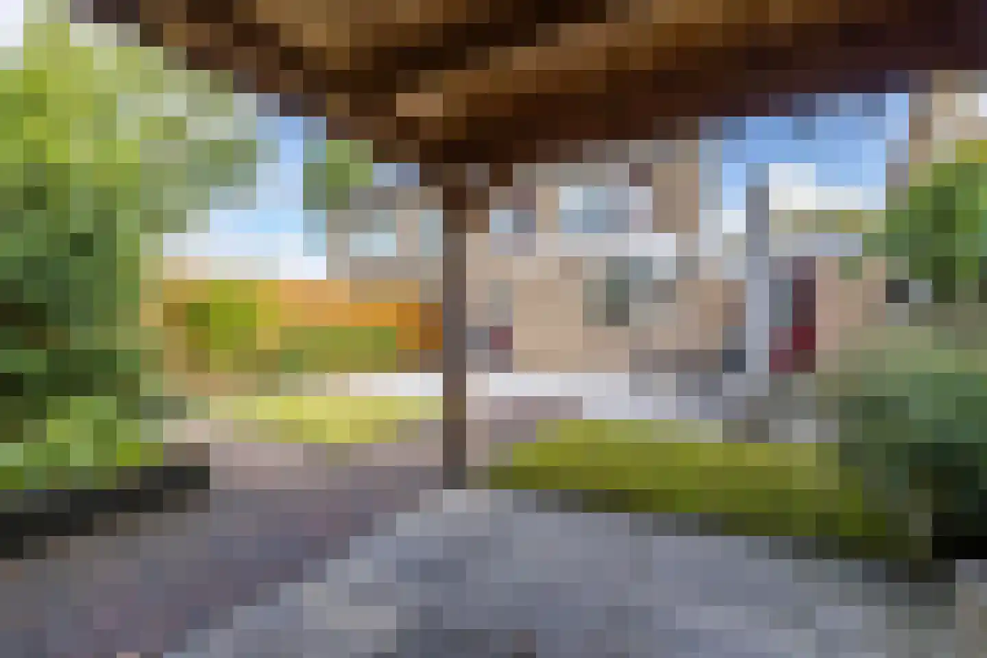 Fivelstraat 4 Ten Boer thumbnail 25