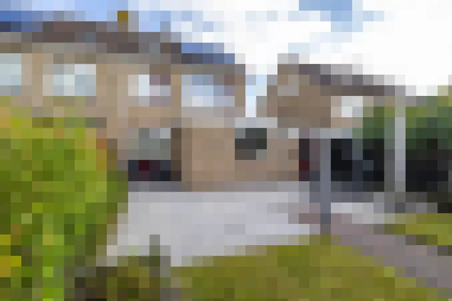 Fivelstraat 4 Ten Boer thumbnail 27