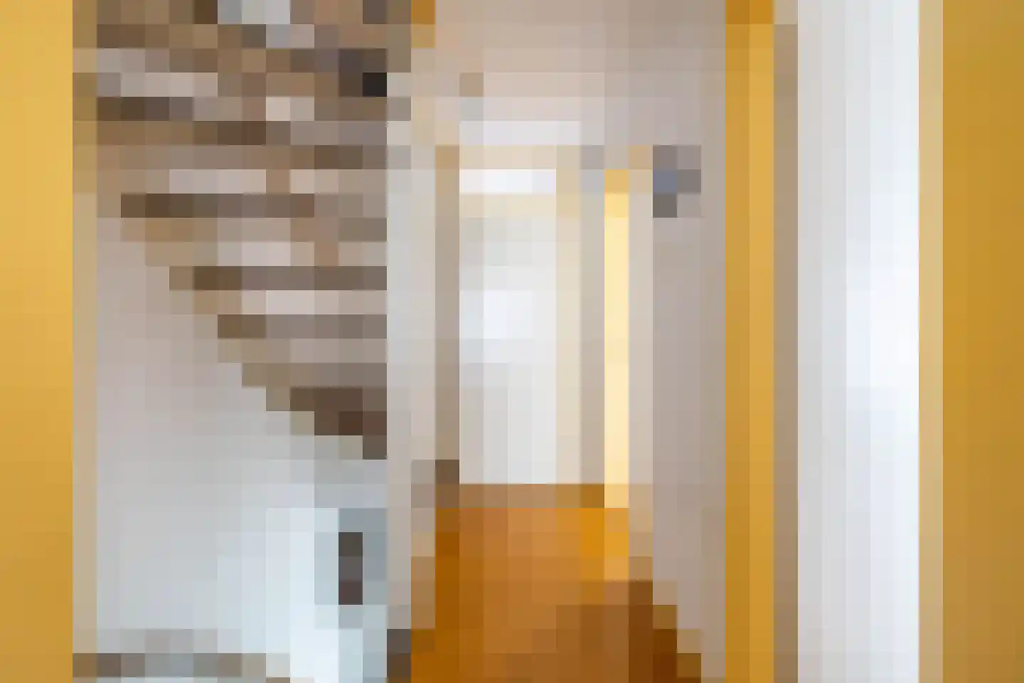 Fivelstraat 4 Ten Boer thumbnail 34