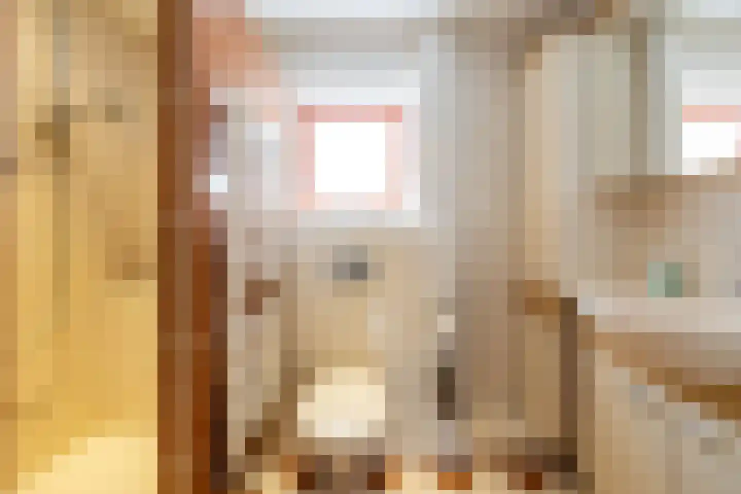 Fivelstraat 4 Ten Boer thumbnail 35
