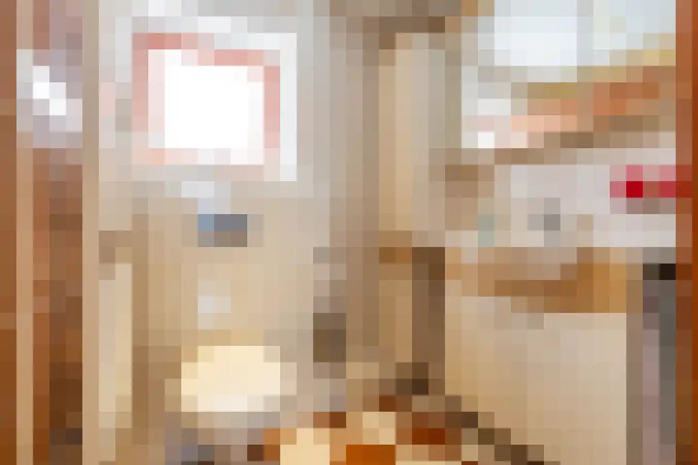Fivelstraat 4 Ten Boer thumbnail 36