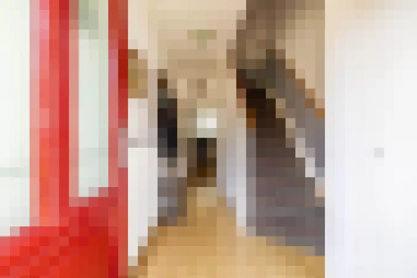 Fivelstraat 4 Ten Boer thumbnail 4