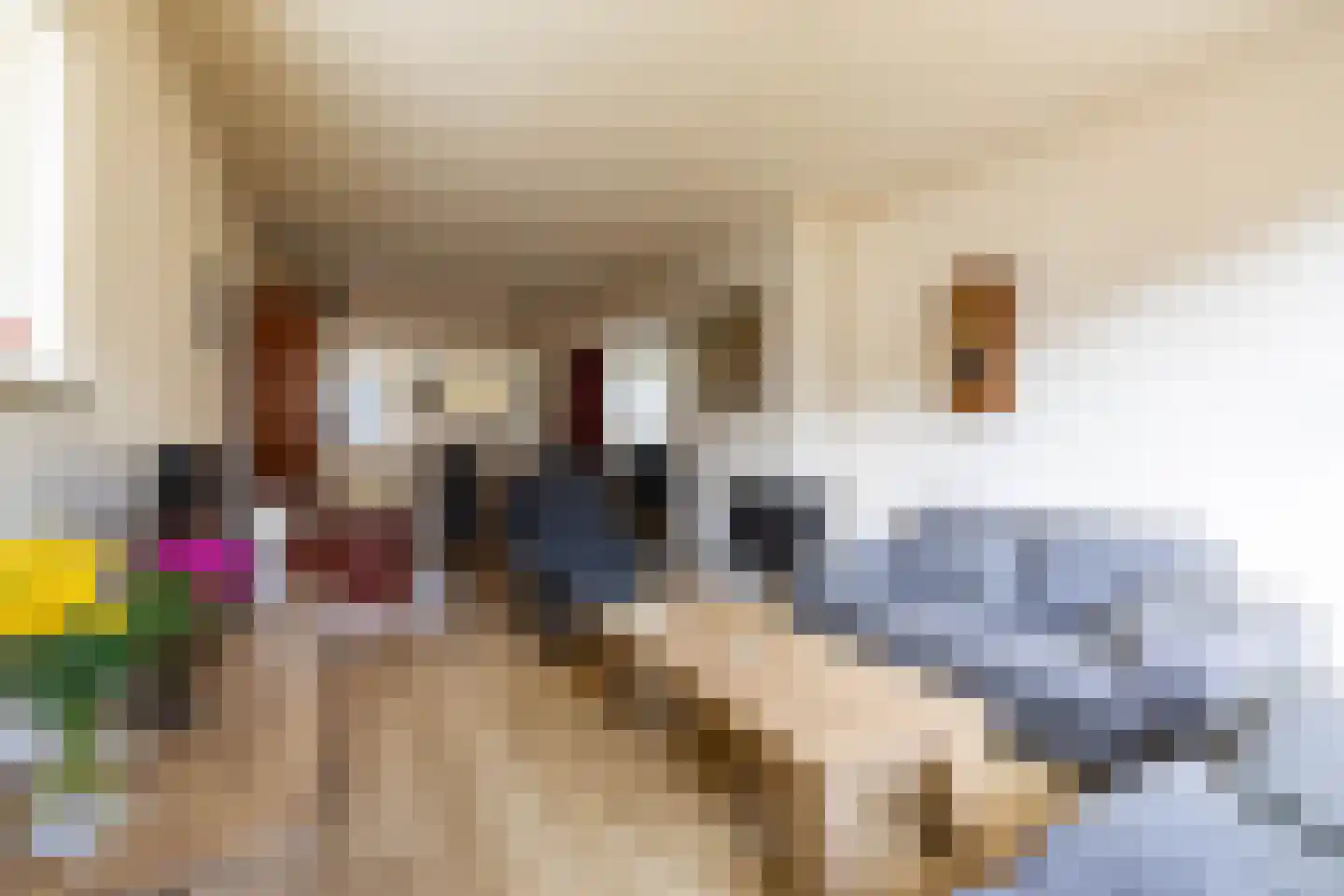 Fivelstraat 4 Ten Boer thumbnail 8