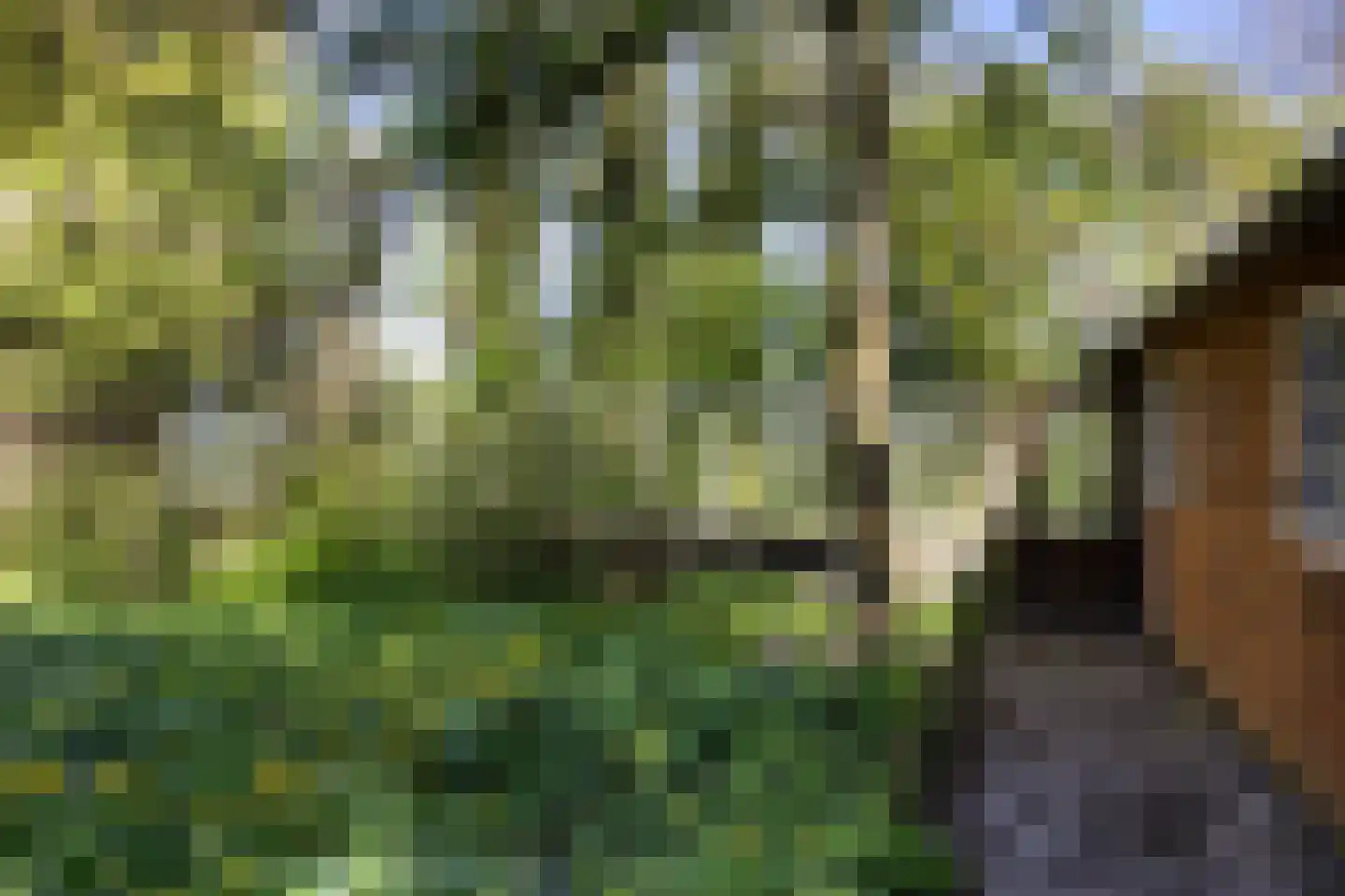 Fivelweg 75 Zijldijk thumbnail 10