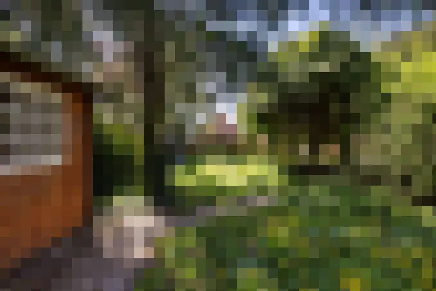 Fivelweg 75 Zijldijk thumbnail 11